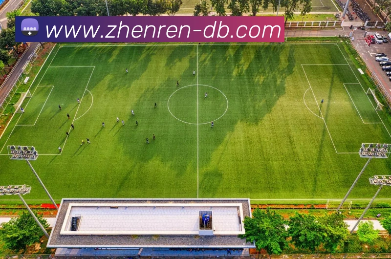 DB真人发展历程